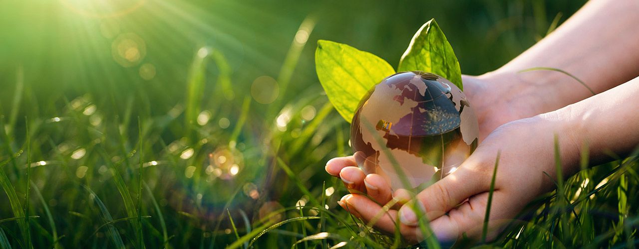 EPAL-Paletten Ökologie